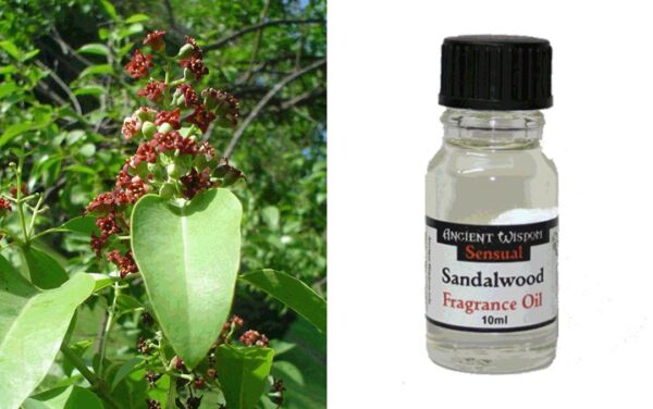 Sandalwood-Fragrance-Oil.10ML