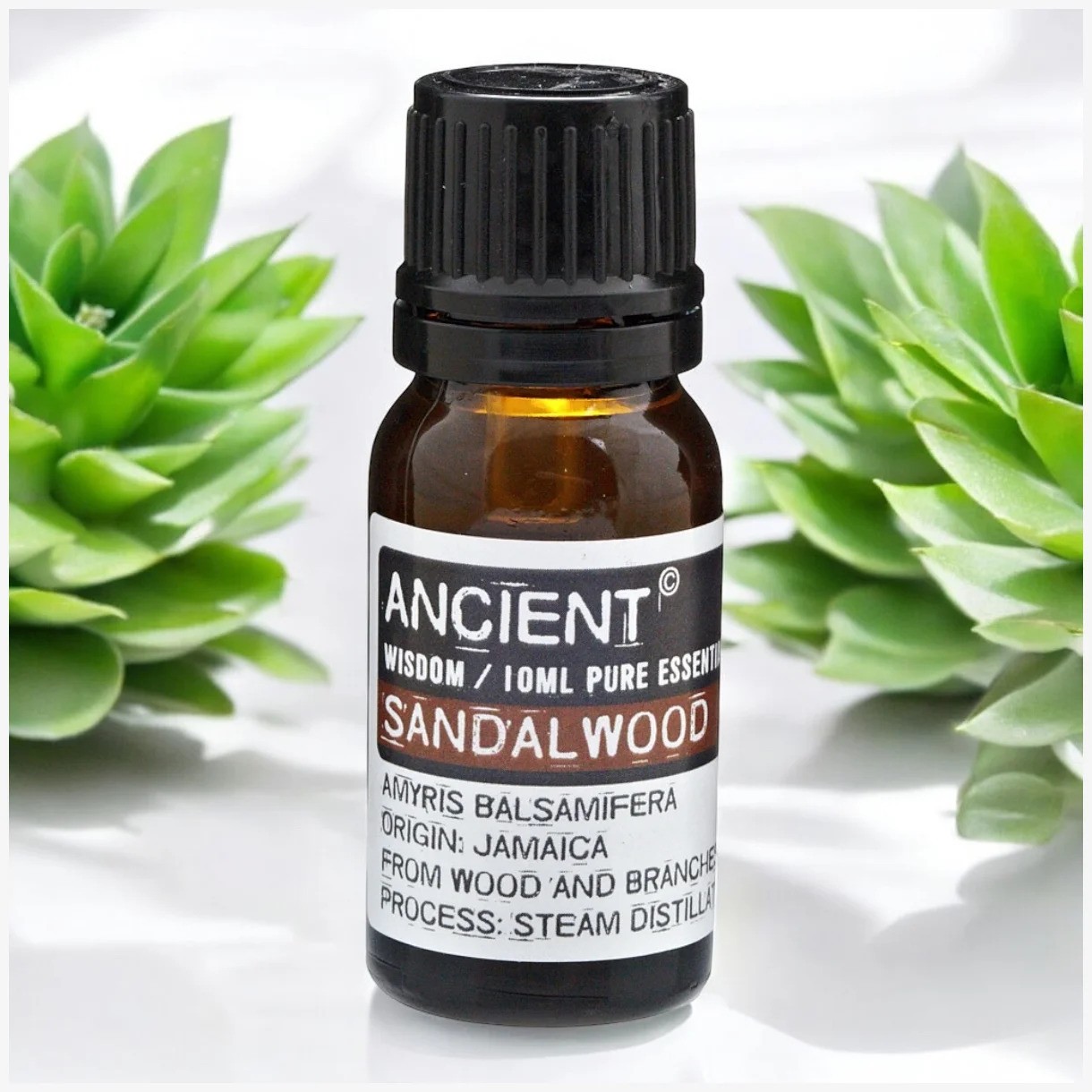 aromatherapy-pure-essential-oil-σανταλοξυλο-10.ml
