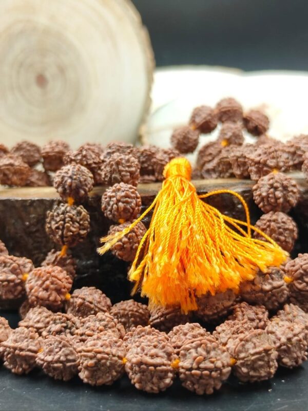 Mala-polished-rudraksha-108-beads-yoga