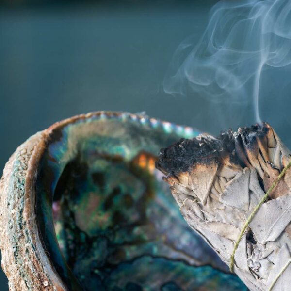 Smudging-Sage-in-Abalone-Shel