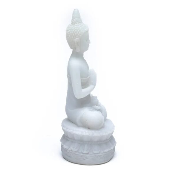 Buddha statue-with-Amrita vase