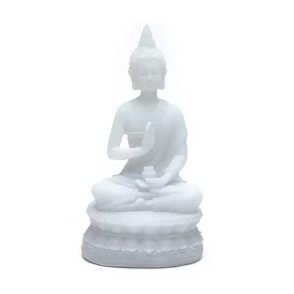 Buddha statue-with-Amrita vase