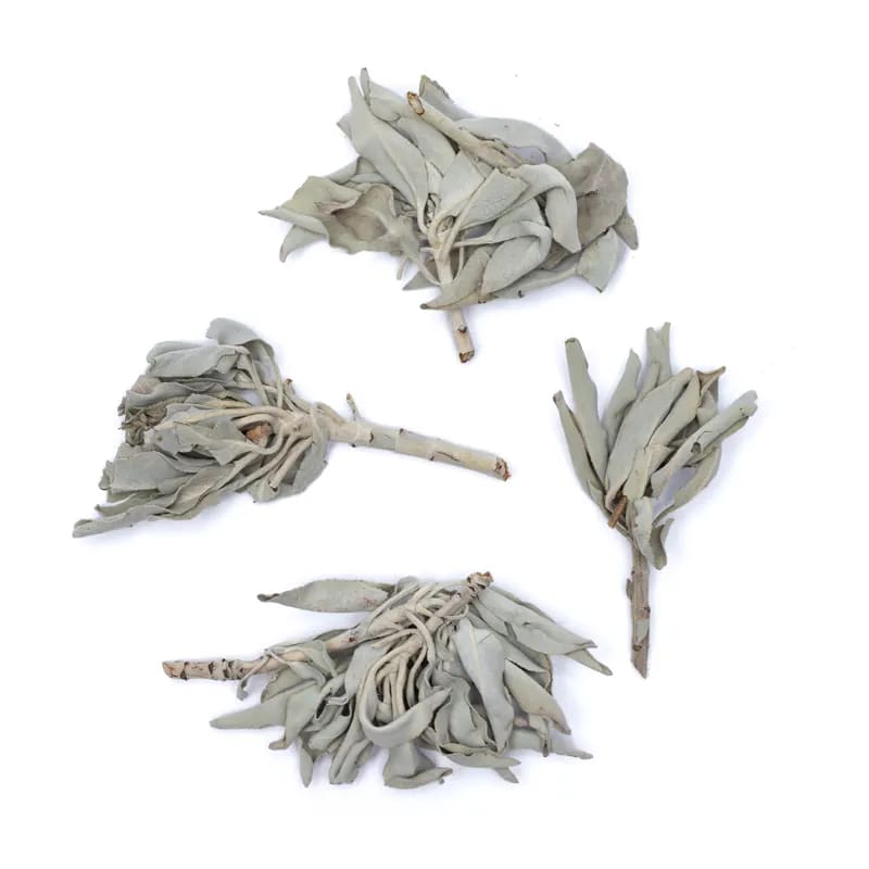 White-Sage-Smudge-leaves-salvia-apiana-50-g