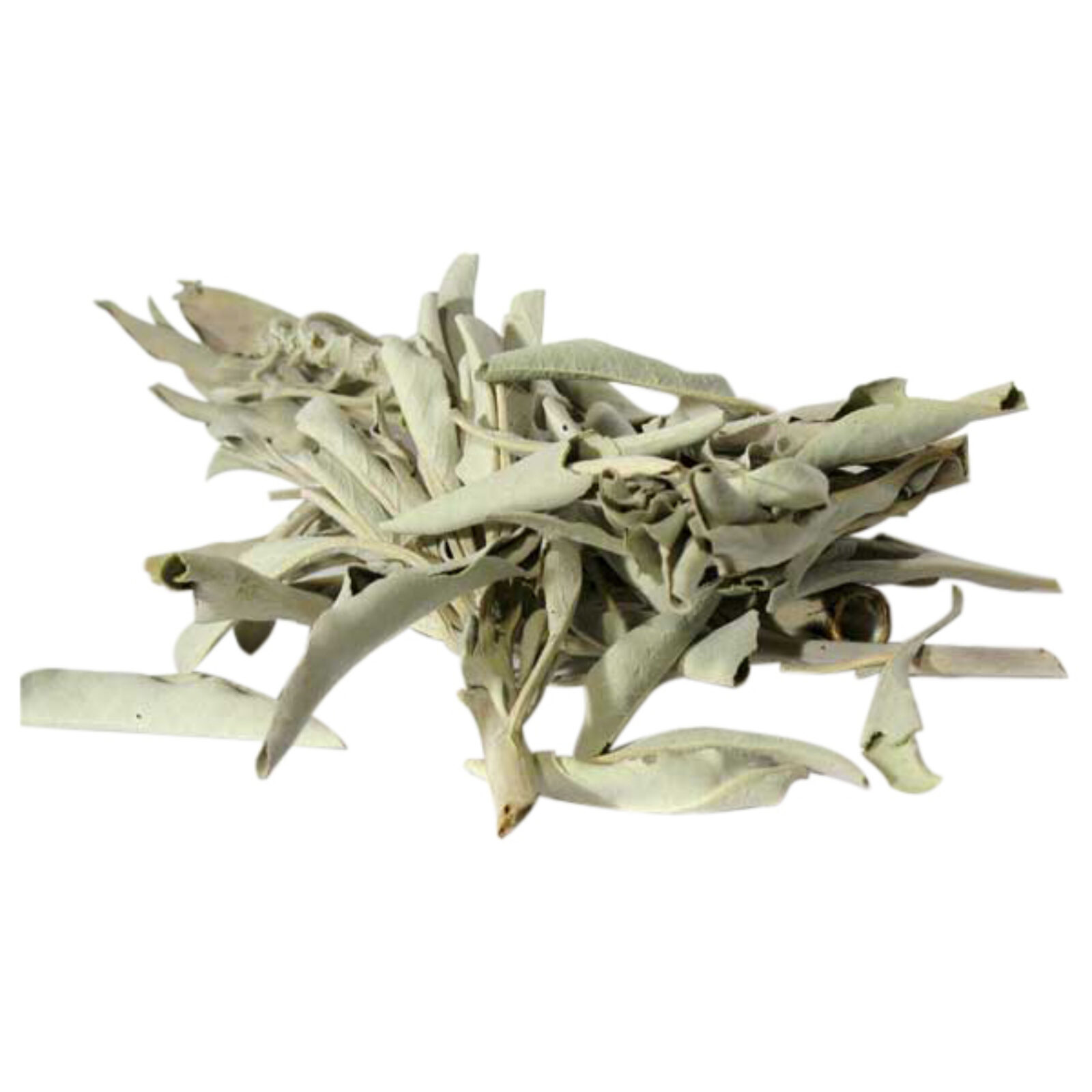White-Sage-Smudge-leaves-salvia-apiana-50_g