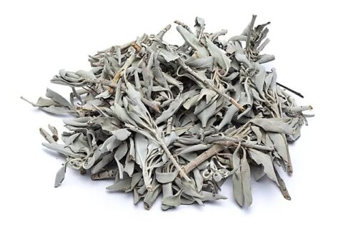 White-Sage-Smudge-leaves-salvia-apiana-50g