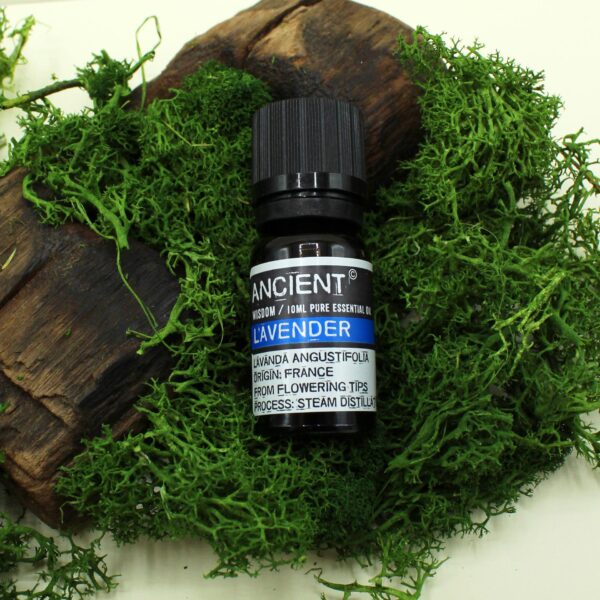 10_ml-Lavender-Essential-Oil