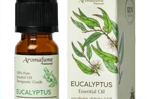Eucalyptus-Essential-Oil_100_Pure-and-Natural_Premium_Therapeutic-Grade