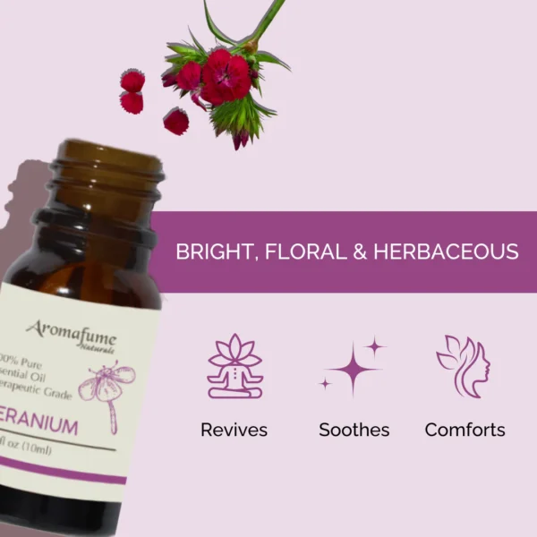 Therapeutic-Grade-Essential-Oil_Organic-Geranium-Aromatherapy-10-ml