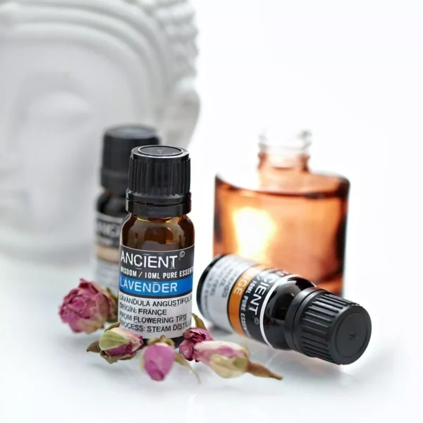 aromatherapy-pure-essential-oil-lavender