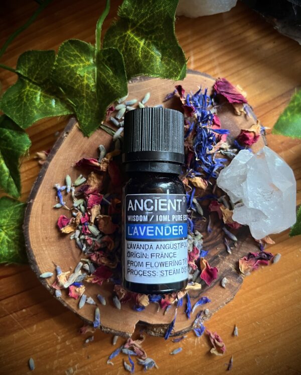 10.ml-Lavender-Essential-Oil