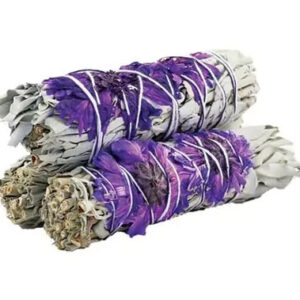 Purple-Daze-Sage-10-cm