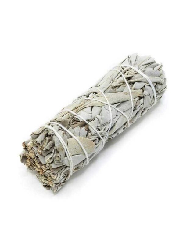 White-Sage-Blue-Sage-Smudge-Stick-10-cm