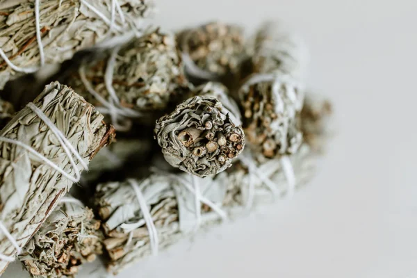 White-Sage-Blue-Sage-Smudge-Stick-10cm-2PCS