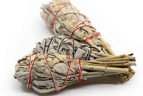 White-Sage-Smudge-Torch-3pcs