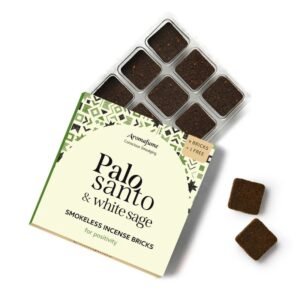 White-Sage_palo-santo-Incense-Bricks_for-Cleansing-Negative-Energy-Protection