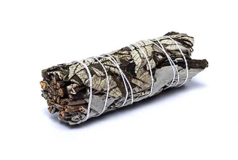 White-sage-smudge-with-yerba-santa-10CM