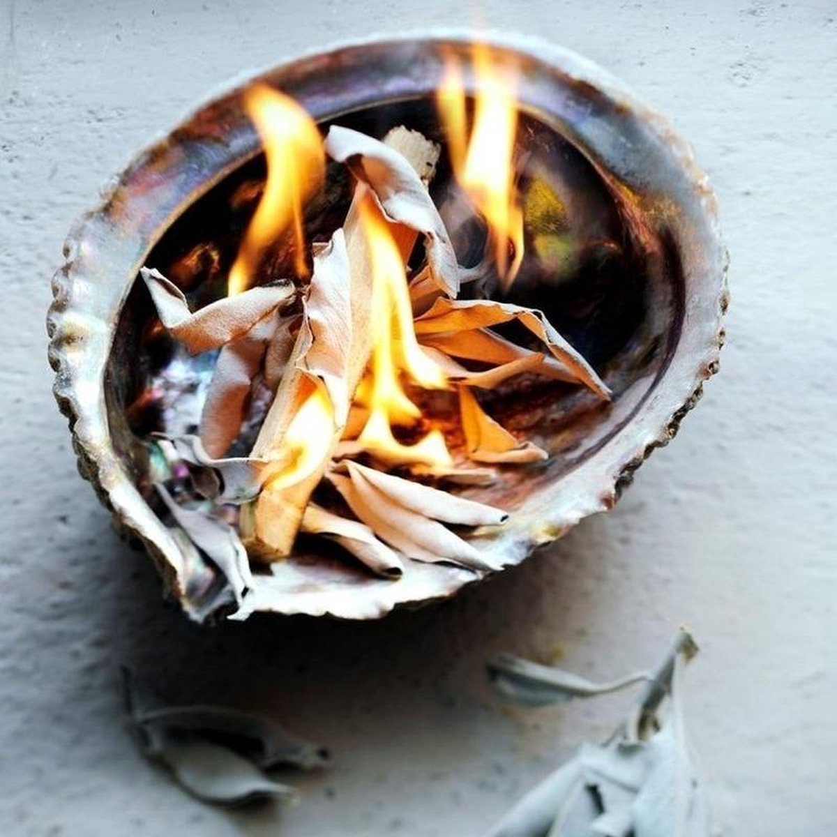 palo+santo+shell+sage-leaves-smudge-kit