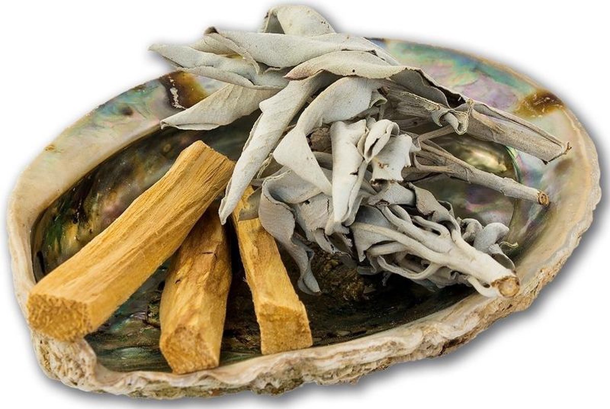 palo+santo+shell+sage-leaves-smudge-kit