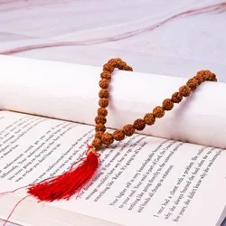 Rudraksha-Mala-54-beads-6.mm