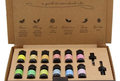 Aromatherapy-pure-Essential-Oils-Set-12pcs-starter-pack